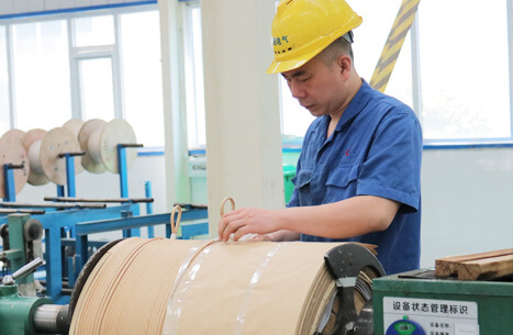 TSTY Electric Co., Ltd.
