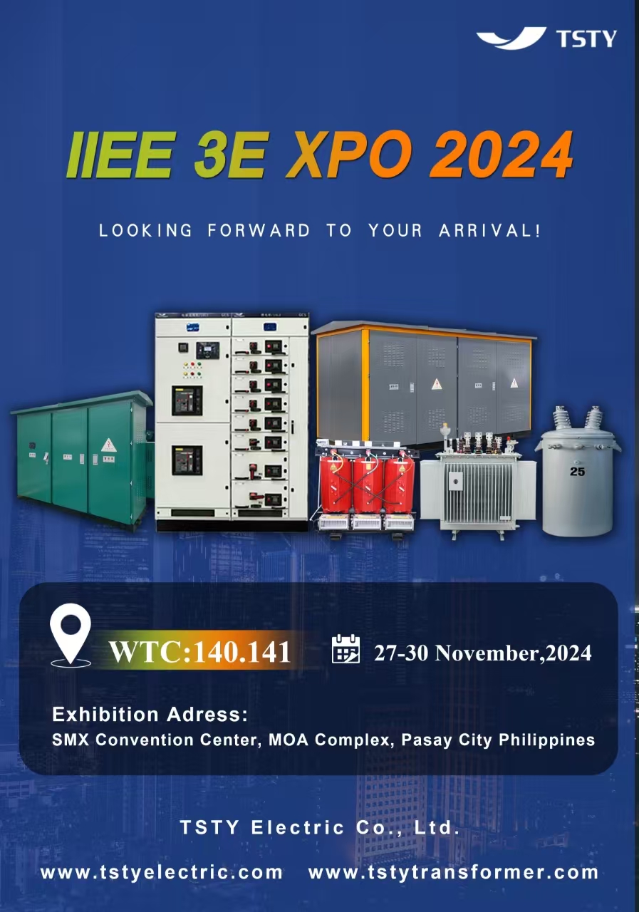 TSTY Electric Co., Ltd.