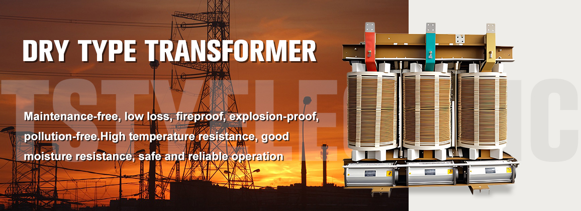 TSTY Electric Co., Ltd.