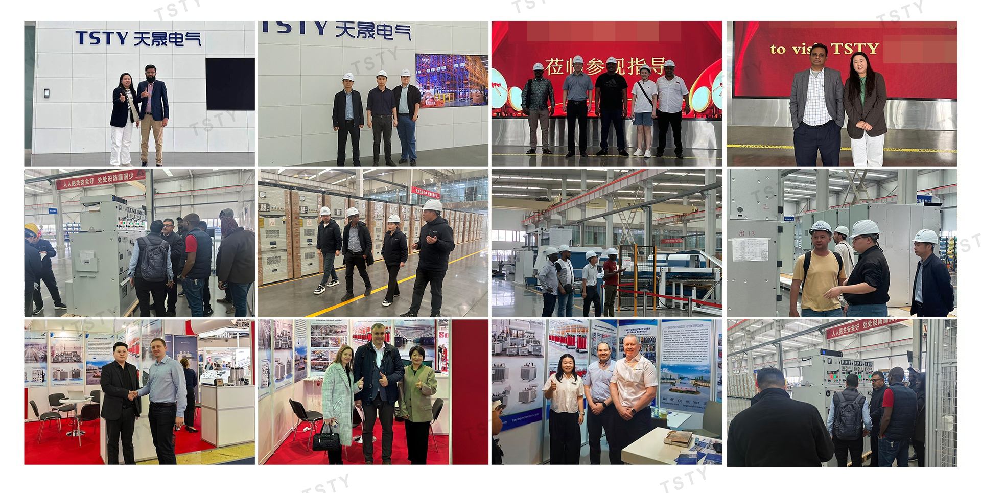 TSTY Electric Co., Ltd.
