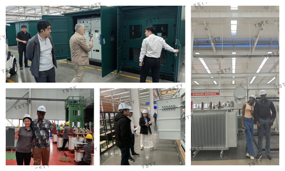 TSTY Electric Co., Ltd.