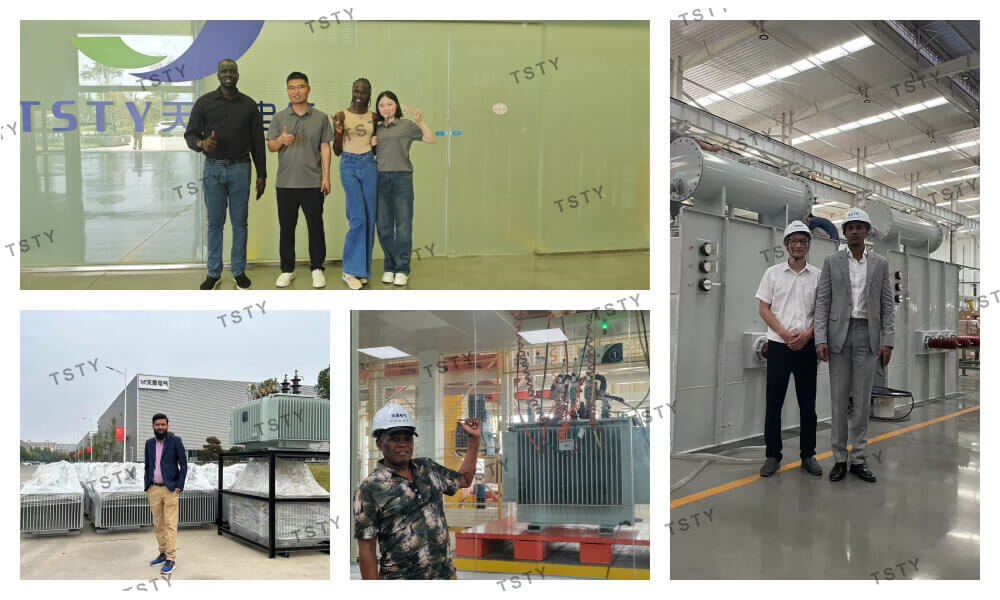 TSTY Electric Co., Ltd.