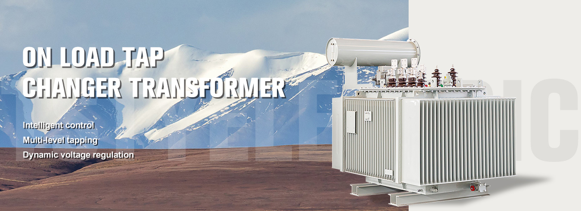 TSTY Electric Co., Ltd.