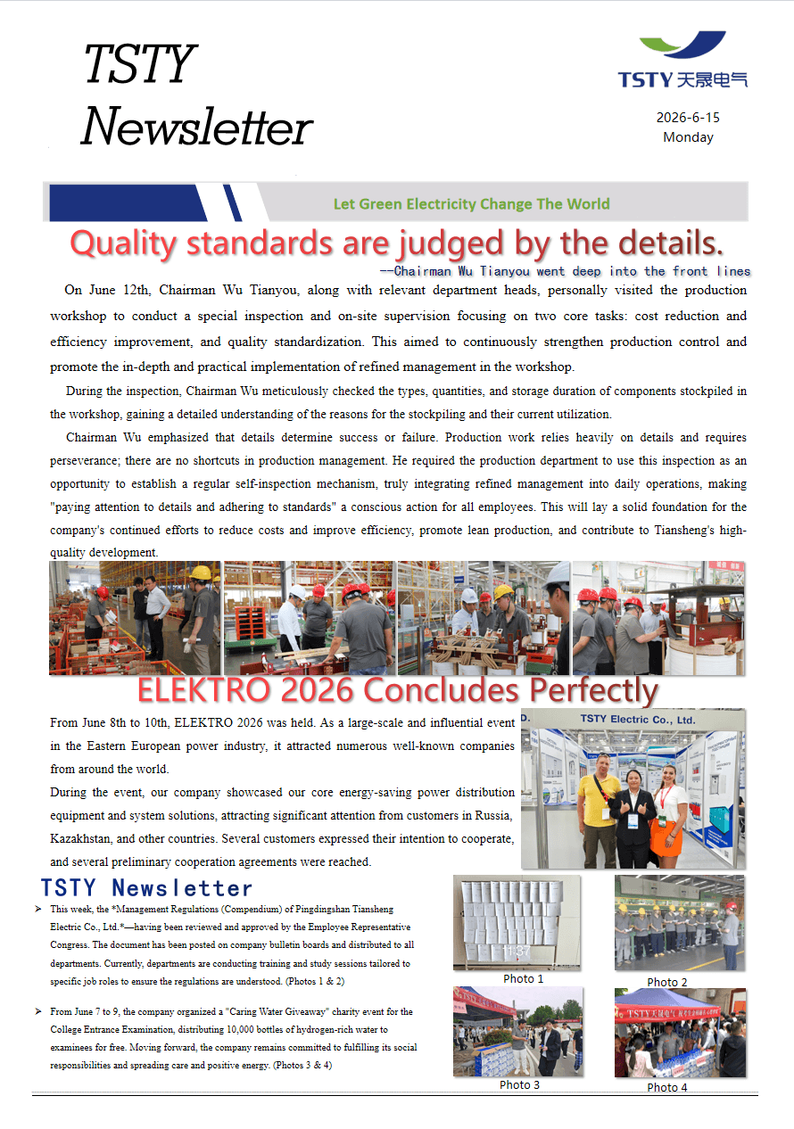 TSTY Electric Co., Ltd.