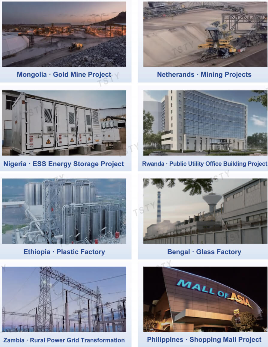 TSTY Electric Co., Ltd.