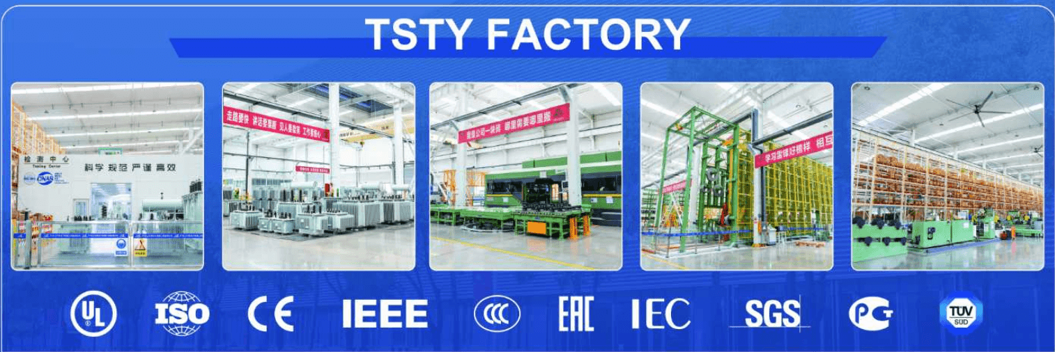 TSTY Electric Co., Ltd.