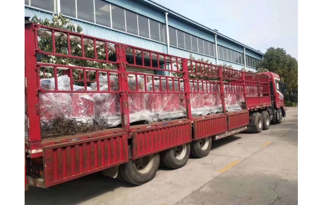 TSTY 50 sets dry type power transformer export to Bangladesh