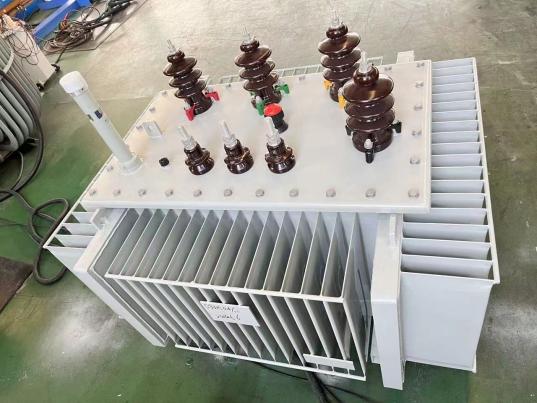 315kva 11-0.4kv oil immersed transformer will be shipped to Ghana
