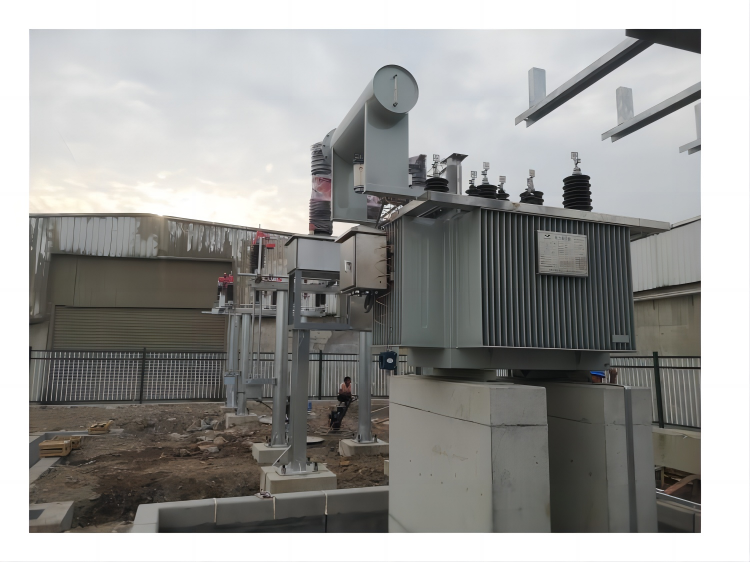 Celebrate the Completion of the Installation of TSTY Transformer