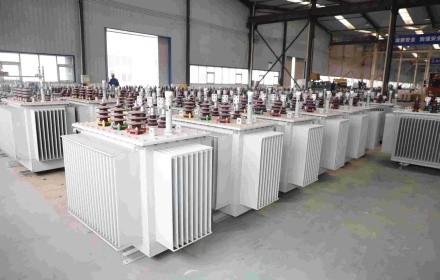 Oil Immersed Transformer Features