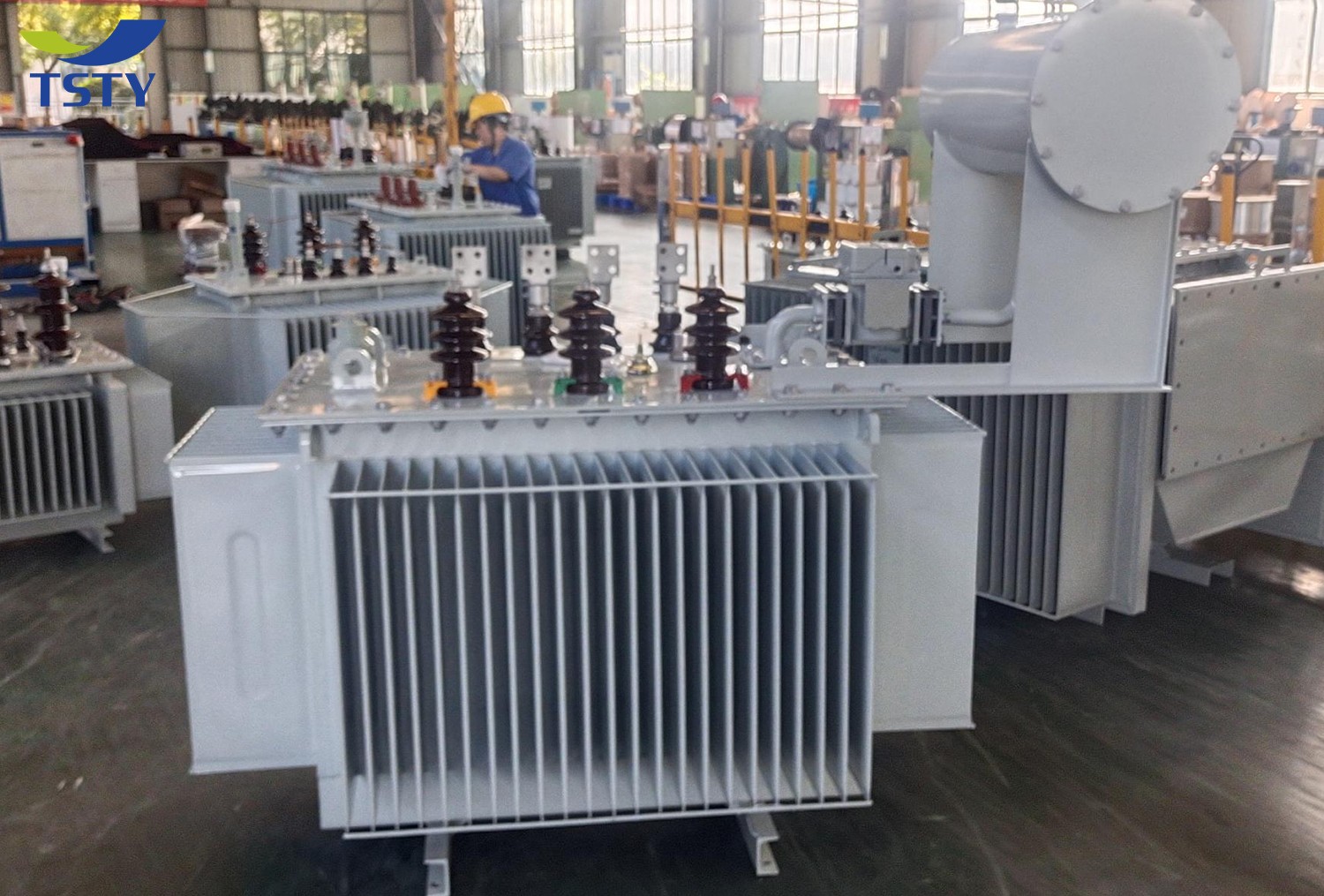 6KV-22KV Electric Oil Immersed Power Transformer/Distribution Transformer