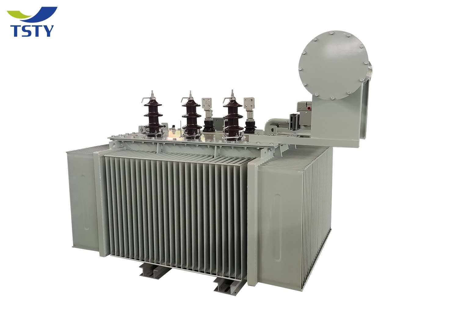 6KV-22KV Electric Oil Immersed Power Transformer/Distribution Transformer