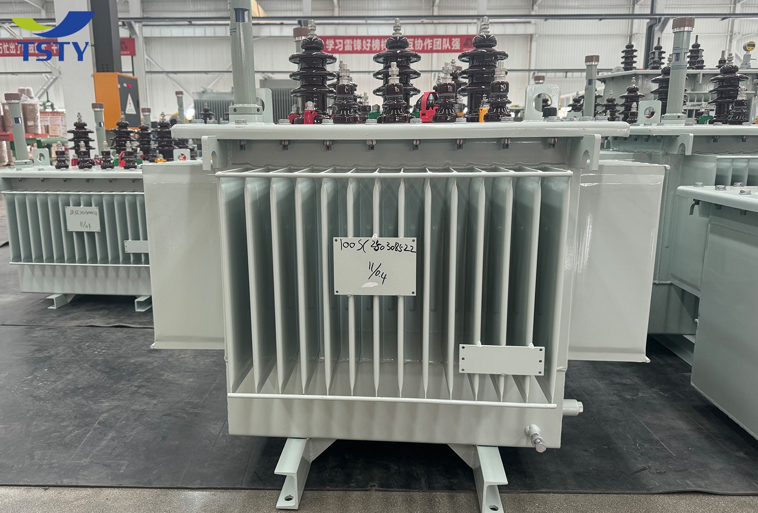 6KV-22KV Electric Oil Immersed Power Transformer/Distribution Transformer