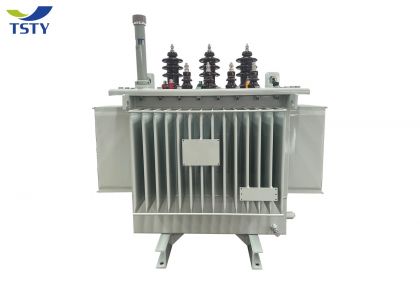 6KV-22KV Electric Oil Immersed Power Transformer/Distribution Transformer