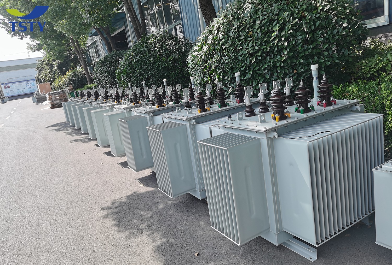 10KV Oil Immersed Distribution Transformer