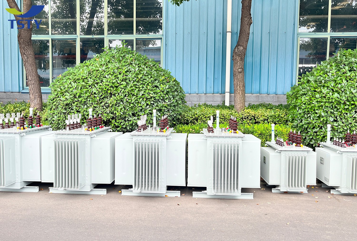 10KV Oil Immersed Distribution Transformer