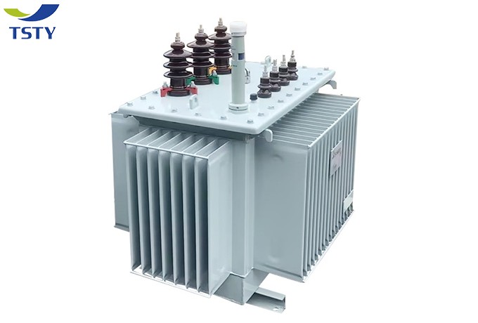 10KV Oil Immersed Distribution Transformer