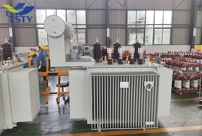 6KV-22KV Electric Oil Immersed Power Transformer/Distribution Transformer