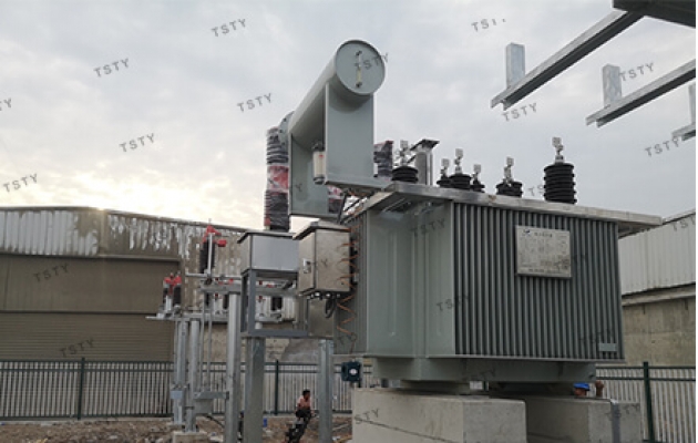10MVA 13.8/0.4kV Transformer For Power Plant Project in The Philippines