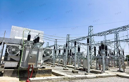 Why Global EPC & Utility Buyers Choose TSTY for Power & New Energy Projects